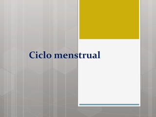 Ciclo menstrual  