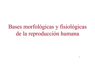 Bases morfológicas y fisiológicas
   de la reproducción humana


                             .
 