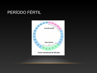 PERÍODO FÉRTIL
 