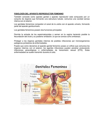 FISIOLOGÍA DEL APARATO REPRODUCTOR FEMENINO
También conocido como aparato genital o aparato reproductor está compuesto por un
conjunto de órganos que formando una estructura tubular, comunica una cavidad serosa
interna con el exterior.
Los genitales femeninos comparten el canal de la uretra con el aparato urinario, formando
parte del aparato genitourinario.
Los genitales femeninos poseen dos funciones principales:
Permite la entrada de los espermatozoides o semen en la vagina haciendo posible la
fecundación del óvulo y su posterior anidación, lo que se conoce como embarazo.
Proteger a los órganos genitales internos de posibles infecciones por microorganismos
patógenos portadores de enfermedades.
Puesto que como decíamos el aparato genital femenino posee un orificio que comunica los
órganos internos con el exterior, los agentes infecciosos pueden penetrar produciendo
infecciones ginecológicas o enfermedades de transmisión sexual (ETS). Estas
enfermedades se suelen transmitir durante el coito.
 