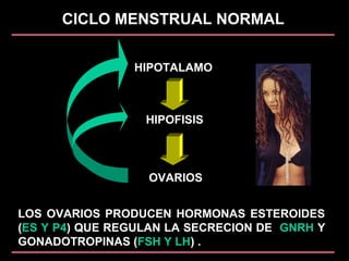CICLO MENSTRUAL NORMAL
HIPOTALAMO
HIPOFISIS
OVARIOS
LOS OVARIOS PRODUCEN HORMONAS ESTEROIDES
(ES Y P4) QUE REGULAN LA SECRECION DE GNRH Y
GONADOTROPINAS (FSH Y LH) .
 