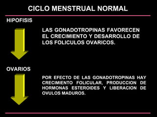 CICLO MENSTRUAL NORMAL
HIPOFISIS
OVARIOS
LAS GONADOTROPINAS FAVORECEN
EL CRECIMIENTO Y DESARROLLO DE
LOS FOLICULOS OVARICOS.
POR EFECTO DE LAS GONADOTROPINAS HAY
CRECIMIENTO FOLICULAR, PRODUCCION DE
HORMONAS ESTEROIDES Y LIBERACION DE
OVULOS MADUROS.
 