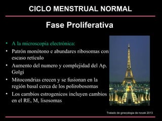 CICLO MENSTRUAL NORMAL
Fase Proliferativa
• A la microscopia electrónica:
• Patrón monótono e abundares ribosomas con
escaso retículo
• Aumento del numero y complejidad del Ap.
Golgi
• Mitocondrias crecen y se fusionan en la
región basal cerca de los polirobosomas
• Los cambios estrogenicos incluyen cambios
en el RE, M, lisosomas
Tratado de ginecologia de novak 2013
 