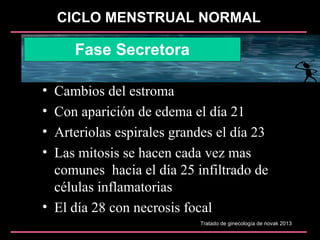 CICLO MENSTRUAL NORMAL
Fase Secretora
• Cambios del estroma
• Con aparición de edema el día 21
• Arteriolas espirales grandes el día 23
• Las mitosis se hacen cada vez mas
comunes hacia el día 25 infiltrado de
células inflamatorias
• El día 28 con necrosis focal
Tratado de ginecología de novak 2013
 