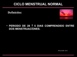 CICLO MENSTRUAL NORMAL
• PERIODO DE 28 5 DIAS COMPRENDIDO ENTRE
DOS MENSTRUACIONES.
+
-
WILLIAMS 2014
Definición:
 