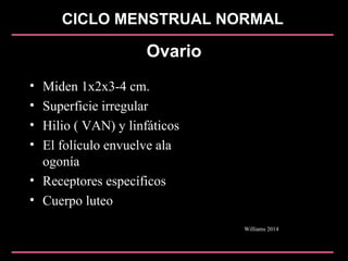 CICLO MENSTRUAL NORMAL
Ovario
• Miden 1x2x3-4 cm.
• Superficie irregular
• Hilio ( VAN) y linfáticos
• El folículo envuelve ala
ogonía
• Receptores específicos
• Cuerpo luteo
Williams 2014
 