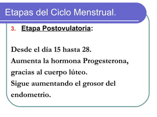 Etapas del Ciclo Menstrual.
3. Etapa Postovulatoria:
Desde el día 15 hasta 28.
Aumenta la hormona Progesterona,
gracias al cuerpo lúteo.
Sigue aumentando el grosor del
endometrio.
 