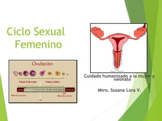 Ciclo Sexual
Femenino
Cuidado humanizado a la mujer y
neonato
Mtro. Susana Lora V.
 