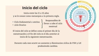 Inicia entre los 11 a 15 años
y se le conoce como menarquia a la primera regla.
• Ciclo Endometrial o uterino
• ciclo Ovarico
El inicio del ciclo se define como el primer día de la
menstruación y el fin del ciclo es el día anterior al
inicio de la siguiente menstruación.
Durante cada mes ocurre un aumento y disminucion ciclica de FSH y LH
produciendo cambios.
Inicio del ciclo
Responsables de
llevar a cabo el ciclo
mestrual
 