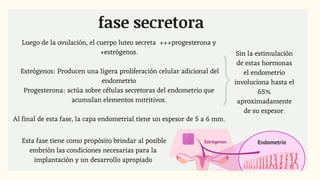 Luego de la ovulación, el cuerpo luteo secreta +++progesterona y
+estrógenos.
Estrógenos: Producen una ligera proliferación celular adicional del
endometrio
Progesterona: actúa sobre células secretoras del endometrio que
acumulan elementos nutritivos.
Al final de esta fase, la capa endometrial tiene un espesor de 5 a 6 mm.
fase secretora
Sin la estimulación
de estas hormonas
el endometrio
involuciona hasta el
65%
aproximadamente
de su espesor.
Esta fase tiene como propósito brindar al posible
embrión las condiciones necesarias para la
implantación y un desarrollo apropiado
 