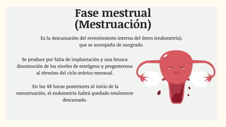 Fase mestrual
(Mestruación)
Se produce por falta de implantación y una brusca
disminución de los niveles de estrógeno y progesterona
al término del ciclo ovárico mensual.
En las 48 horas posteriores al inicio de la
menstruación, el endometrio habrá quedado totalmente
descamado.
Es la descamación del revestimiento interno del útero (endometrio),
que se acompaña de sangrado.
 
