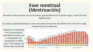 Durante la menstruación normal se pierden aproximadamente 34 ml de sangre y unos 35 ml de
líquido seroso
Se produce aproximadamente en ciclos mensuales durante los años fértiles de la vida de la mujer,
excepto durante el embarazo.
Fase mestrual
(Mestruación)
Empieza en la pubertad
(con la menarquia) y
cesa definitivamente con
la menopausia. (La
menopausia se define
como 1 año después del
último ciclo menstrual)
 