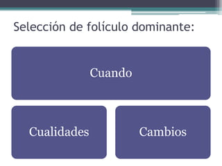 Selección de folículo dominante:
Cuando
Cualidades Cambios
 