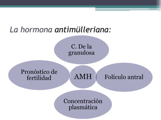 La hormona antimülleriana:
AMH
C. De la
granulosa
Folículo antral
Concentración
plasmática
Pronóstico de
fertilidad
 