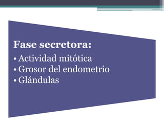 Fase secretora:
• Actividad mitótica
• Grosor del endometrio
• Glándulas
 