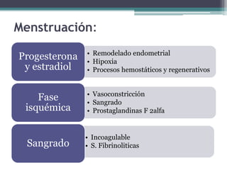 Menstruación:
• Remodelado endometrial
• Hipoxia
• Procesos hemostáticos y regenerativos
Progesterona
y estradiol
• Vasoconstricción
• Sangrado
• Prostaglandinas F 2alfa
Fase
isquémica
• Incoagulable
• S. FibrinoliticasSangrado
 