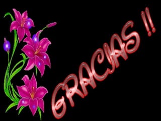 Ciclo menstrual --rodriguez r3