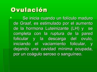 Ovulación


Se inicia cuando un folículo maduro
de Graaf, es estimulado por el aumento
de la hormona Luteinizante (LH) y se
completa con la ruptura de la pared
folicular y la descarga del ovulo,
iniciando el vaciamiento folicular, y
dejando una cavidad mínima ocupada,
por un coágulo seroso o sanguíneo.

 