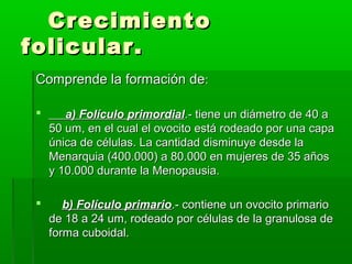 Crecimiento
folicular.
Comprende la formación de:


a) Folículo primordial.- tiene un diámetro de 40 a
50 um, en el cual el ovocito está rodeado por una capa
única de células. La cantidad disminuye desde la
Menarquia (400.000) a 80.000 en mujeres de 35 años
y 10.000 durante la Menopausia.



b) Folículo primario.- contiene un ovocito primario
de 18 a 24 um, rodeado por células de la granulosa de
forma cuboidal.

 