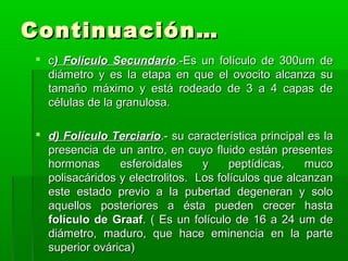 Continuación…
 c) Folículo Secundario.-Es un folículo de 300um de
diámetro y es la etapa en que el ovocito alcanza su
tamaño máximo y está rodeado de 3 a 4 capas de
células de la granulosa.
 d) Folículo Terciario.- su característica principal es la
presencia de un antro, en cuyo fluido están presentes
hormonas
esferoidales
y
peptídicas,
muco
polisacáridos y electrolitos. Los folículos que alcanzan
este estado previo a la pubertad degeneran y solo
aquellos posteriores a ésta pueden crecer hasta
folículo de Graaf. ( Es un folículo de 16 a 24 um de
diámetro, maduro, que hace eminencia en la parte
superior ovárica)

 