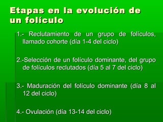 Etapas en la evolución de
un folículo
1.- Reclutamiento de un grupo de folículos,
llamado cohorte (día 1-4 del ciclo)
2.-Selección de un folículo dominante, del grupo
de folículos reclutados (día 5 al 7 del ciclo)
3.- Maduración del folículo dominante (día 8 al
12 del ciclo)
4.- Ovulación (día 13-14 del ciclo)

 