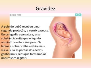 Gravidez


A pele do bebê recebeu uma
segunda proteção, a vernix caseosa.
Escorregadia a pegajosa, essa
substância evita que o líquido
amniótico irrite a sua pele. Os
lábios e sobrancelhas estão mais
visíveis. Já as pontas dos dedos
ganharam sulcos que formarão as
impressões digitais.
 