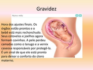 Gravidez

Hora dos ajustes finais. Os
órgãos estão prontos e o
bebê está mais rechonchudo.
Seus cotovelos e joelhos agora
formam covinhas. A pele perdeu
camadas como o lanugo e a vernix
caseosa responsáveis por protegê-la.
É um sinal de que ele está pronto
para deixar o conforto do útero
materno.
 