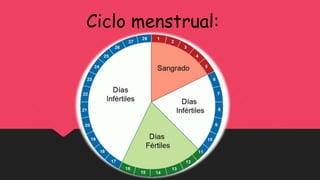 Ciclo menstrual:
 