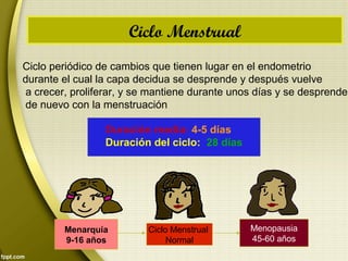 Ciclo Menstrual
Ciclo periódico de cambios que tienen lugar en el endometrio
durante el cual la capa decidua se desprende ...