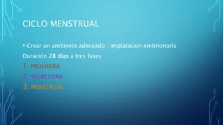 CICLO MENSTRUAL
• Crear un ambiente adecuado : implatacion embrionaria
Duración 28 días a tres fases
1. PROLIFERA
2. SECRETORA
3. MENSTRUAL
 