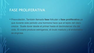 FASE PROLIFERATIVA
• Preovulación. También llamada fase folicular o fase proliferativa ya
que durante este periodo una hormona hace que el tejido del útero
crezca. ​ Suele durar desde el primer hasta el decimotercer día del
ciclo. El ovario produce estrógenos, el óvulo madura y el endometrio
se engrosa.
 
