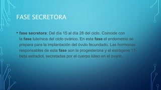 FASE SECRETORA
• fase secretora: Del día 15 al día 28 del ciclo. Coincide con
la fase luteínica del ciclo ovárico. En esta fase el endometrio se
prepara para la implantación del óvulo fecundado. Las hormonas
responsables de esta fase son la progesterona y el estrógeno 17-
beta estradiol, secretadas por el cuerpo lúteo en el ovario.
 