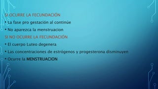 SI OCURRE LA FECUNDACIÓN
• La fase pro gestación al continúe
• No aparezca la menstruacion
SI NO OCURRE LA FECUNDACIÓN
• El cuerpo Luteo degenera
• Las concentraciones de estrógenos y progesterona disminuyen
• Ocurre la MENSTRUACION
 