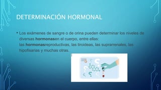 DETERMINACIÓN HORMONAL
• Los exámenes de sangre o de orina pueden determinar los niveles de
diversas hormonasen el cuerpo, entre ellas:
las hormonasreproductivas, las tiroideas, las suprarrenales, las
hipofisarias y muchas otras.
 