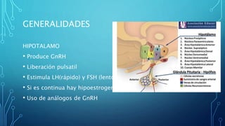GENERALIDADES
HIPOTALAMO
• Produce GnRH
• Liberación pulsatil
• Estimula LH(rápido) y FSH (lento)
• Si es continua hay hipoestrogenismo
• Uso de análogos de GnRH
 