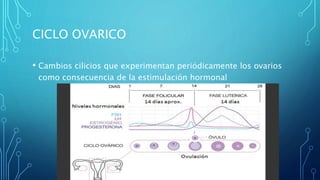 CICLO OVARICO
• Cambios cilicios que experimentan periódicamente los ovarios
como consecuencia de la estimulación hormonal
 