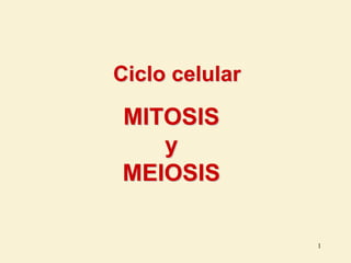 MITOSIS
y
MEIOSIS
1
Ciclo celular
 