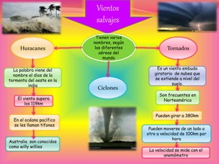 Vientos
salvajes
Tienen varios
nombres, según
las diferentes
aéreas del
mundo
Huracanes
Ciclones
Tornados
El viento supera
los 119km
La palabra viene del
nombre el dios de la
tormenta del oeste en la
india
Pueden girar a 380km
Es un viento embudo
giratorio de nubes que
se extiende a nivel del
suelo.
Son frecuentes en
Norteamérica
Australia son conocidos
como willy willies
En el océano pacífico
se les llaman tifones
La velocidad se mide con el
anemómetro
Pueden moverse de un lado a
otro a velocidad de 100km por
hora
 