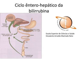Ciclo êntero-hepático da
bilirrubina
Escola Superior de Ciências e Saúde
Estudante Arnaldo Machado Neto
 