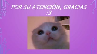 POR SU ATENCIÓN, GRACIAS
:3
 