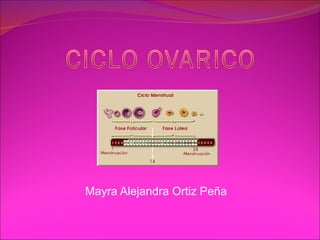 Mayra Alejandra Ortiz Peña 