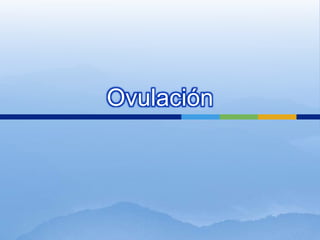 Ovulación
 
