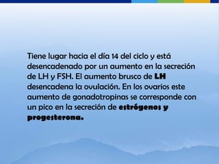 Tiene lugar hacia el día 14 del ciclo y está
desencadenado por un aumento en la secreción
de LH y FSH. El aumento brusco de LH
desencadena la ovulación. En los ovarios este
aumento de gonadotropinas se corresponde con
un pico en la secreción de estrógenos y
progesterona.
 