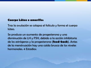 Cuerpo Lúteo o amarillo:
Tras la ovulación se colapsa el folículo y forma el cuerpo
lúteo.
Se produce un aumento de progesterona y una
disminución de LH y FSH, debido a la acción inhibitoria
de los estrógenos y la progesterona (feed-back). Antes
de la menstruación hay una caída brusca de los niveles
hormonales. 4 Estadios:
 