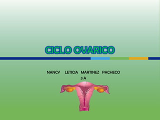 NANCY   LETICIA MARTINEZ PACHECO
                3A
 