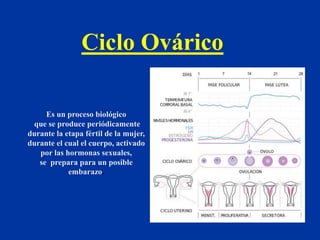 Ciclo Ovárico
Es un proceso biológico
que se produce periódicamente
durante la etapa fértil de la mujer,
durante el cual el cuerpo, activado
por las hormonas sexuales,
se prepara para un posible
embarazo.
 