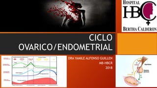 CICLO
OVARICO/ENDOMETRIAL
DRA YAMILE ALFONSO GUILLEN
MB-HBCR
2018
 