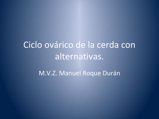 Ciclo ovárico de la cerda con 
alternativas. 
M.V.Z. Manuel Roque Durán 
 