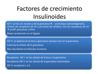 Factores de crecimiento
Insulinoides
IGF I: en las cel. tecales y de la granulosa, aromatasa esteroidogenesis,
síntesis de receptores de LH y secreción de inhibina. Con los receptores de LH
 prolif. granulosa y lútea
Mayor producción en el hígado
IGF II: se expresa en la teca y granulosa aunque mas en la granulosa
Estimula la mitosis de la granulosa
Mas abundante en folículos humanos
Receptores IGF I en las células de la teca y la granulosa
Receptores IGF II en las células de la granulosa luteinizadas
IGF II: receptores I y II
 