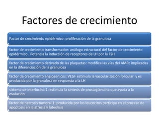 Factores de crecimiento
Factor de crecimiento epidérmico: proliferación de la granulosa
factor de crecimiento transformador: análogo estructural del factor de crecimiento
epidérmico . Potencia la inducción de receptores de LH por la FSH
factor de crecimiento derivado de las plaquetas: modifica las vías del AMPc implicadas
en la diferenciación de la granulosa
factor de crecimiento angiogenicos: VEGF estimula la vascularización folicular y es
producida por la granulosa en respuesta a la LH
sistema de interlucina 1: estimula la síntesis de prostaglandina que ayuda a la
ovulación
factor de necrosis tumoral 1: producida por los leucocitos participa en el proceso de
apoptosis en la atresia y luteolisis
 